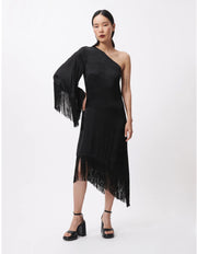 Elena Fringe Dress